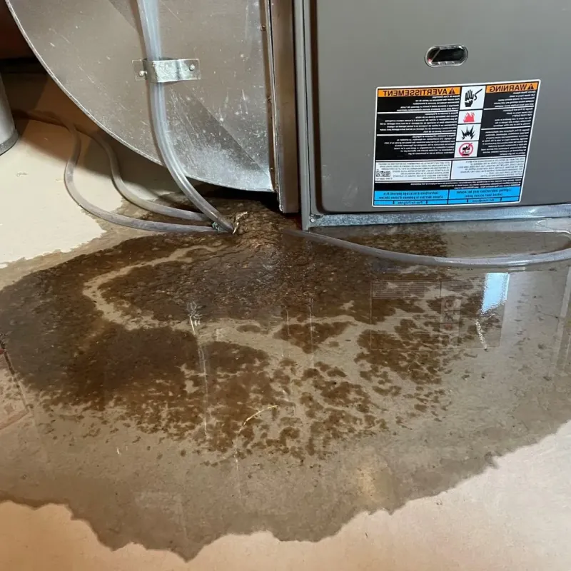 Pipe Burst and Leak Restoration in Marshall County, IN