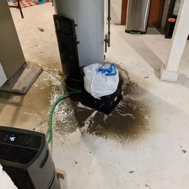 Sewage Backup Cleanup Service in Marshall County, IN